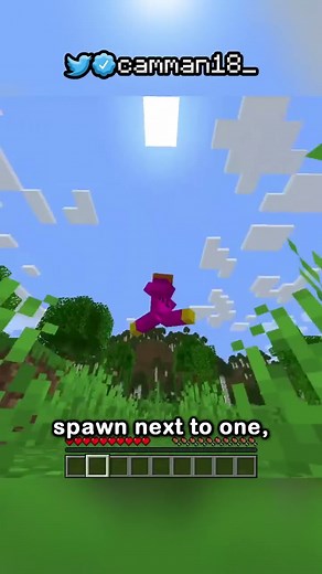 i found the hardest item to speedrun in minecraft.