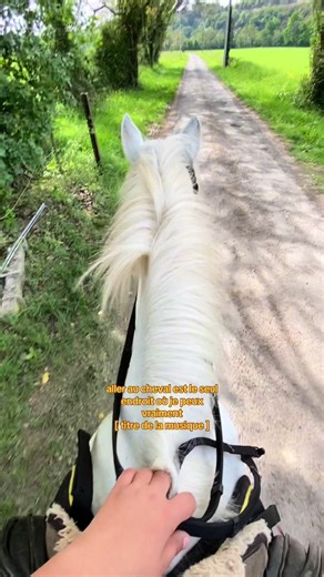 Finding Comfort in Horse Riding