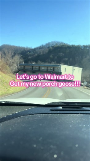 Walmart finds!! #porchgoose #walmart #easternkentucky #shopping #walmartfinds