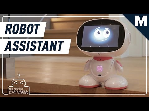 Meet Misa: The Tiny Personal Assistant Robot | Strictly Robots