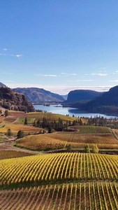 The Okanagan Valley, BC’s wine capital, produces over 80% of the province’s wine and contributes around $2.8 billion annually to the economy. Known for its unique terroir, the valley’s vineyards thrive on mineral-rich soils left by ancient glacial lakes, giving the wines distinct flavors. Beyond wine, the region’s desert climate supports orchards of peaches, apples, and cherries, making it a hub of agricultural diversity. Did you know the Okanagan is considered one of the world’s top emerging wi