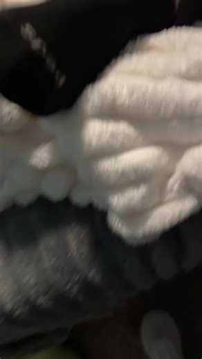 Very easy to use compression massager for your legs is essential after a long day. Use these while at home, while driving, while flying, or just traveling in general. ##legpain##massage##massagetherapy##compression##fyp