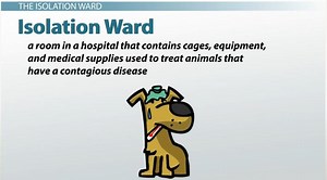 Veterinary Hospital Wards