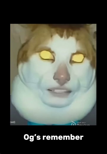 Monday left me broken #memes #trending #funny #viral #amazing #cool