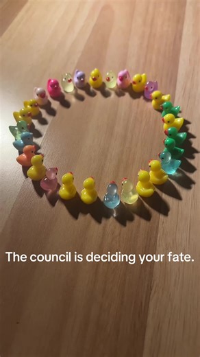 Duck Frog (@duck.frog8)’s video of the council has decided