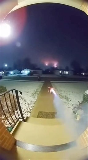 Dog Took Off With a Rocket Backpack on New Year’s Eve…🐶 #Shorts #viral #animals