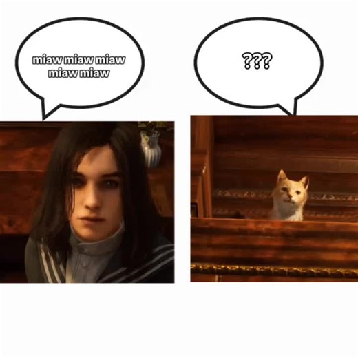 Exploring Lies of P: Game Insights and Memes