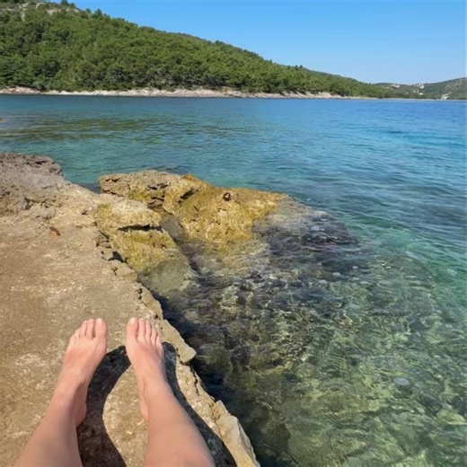 6.2K views · 557 reactions | Troubled in paradise ️ Current...