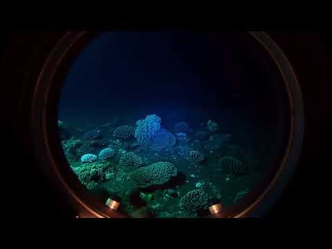 Submarine Underwater Ambience 🌊 | Deep Sea White Noise for Sleep & Relaxation (1 Hour)