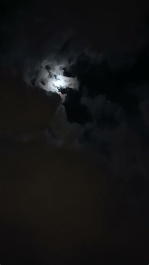 kln news reporting live in search of sasquatch