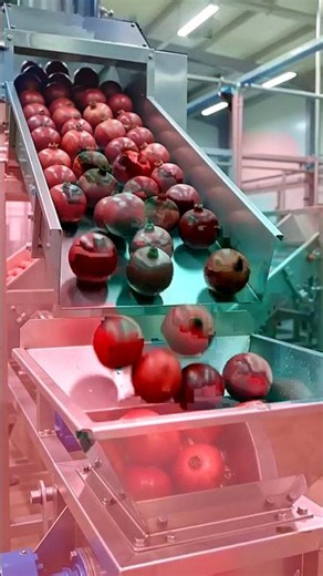 🍎 How Is Pomegranate Juice Made? 😱 | Inside a Modern Juice Factory