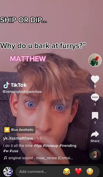 #greenscreen ship or dip?