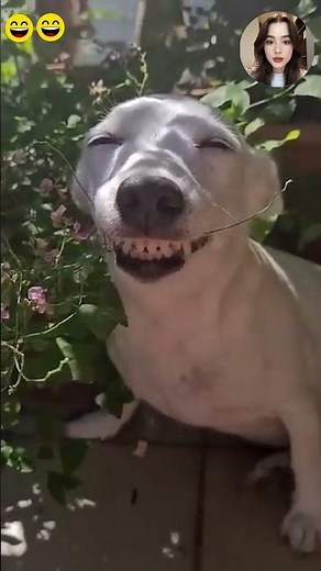 Crazy epic fails 😂😂 😂 #shorts #memes #fails #funnymoments