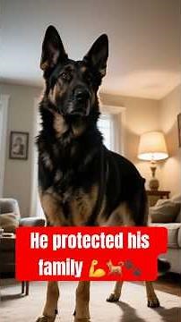 Family Guardian: German Shepherd Protects Home from Intruder 🐾🏠