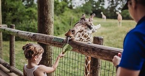Visit the Fort Wayne Zoo