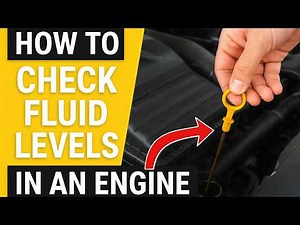 How To Easily Check & Add Fluids To Your Vehicle's Engine - Car Or Truck