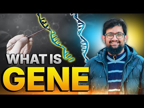 What is Gene
