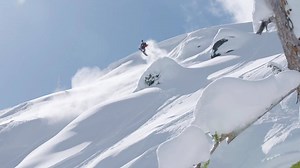 15K views · 177 reactions | Best of Danny Davis 2017. Dans Schnauzer...