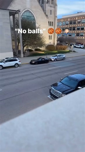 No Balls No Skill No Brain | V. Bozeman