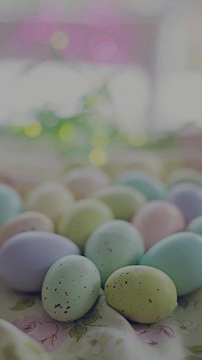 Craven Consultancy Services Ltd on Reels