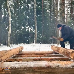 Building log cabin into forest without power tools two days in bushcraft shelter.#bushcraft #adventure #outdoors #survival #camping #cabinlife #cabincrew #wilderness #logcabin | Alex Bushcraft