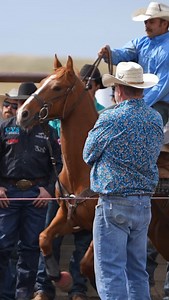 2.1K views · 2.8K reactions | And that’s why they call it ✨ steer...