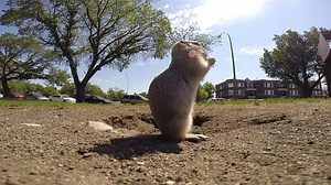 6.4K views · 24 reactions | CBC Saskatchewan paid a visit to our...