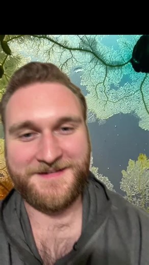 Exploring Physarum polycephalum: The Fascinating Slime Mold