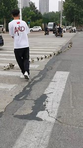 What happens when the #ducklings get bounced out of the basket? Let's find out! #ChinaStory | China News 中国新闻网