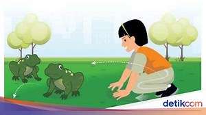 Inilah Perbedaan Kurikulum 2013 dan Kurikulum Merdeka SD, SMP, SMA/SMK