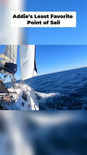 Vet Tails' Chuffed Adventures on Instagram: "Another flashback, can you tell I am going through old videos? Addie went from clingy and scared to a confident sailor really quickly, even with a deep heel he just slept on the floor in his little life jacket! (For those of you that are new to our story, we didn't get a dog, Addie is our dog-nephew who lives with us onboard sometimes!) . . . . #boatdog #dogsthatsail #sailors #sailing #heeling #boatlife"