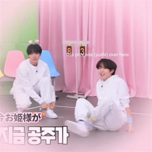 Understanding Cat Behavior: Insights and Tips