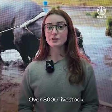 FAO at COP16 resumed sessions: Agrifood systems are at the heart of the global biodiversity targets