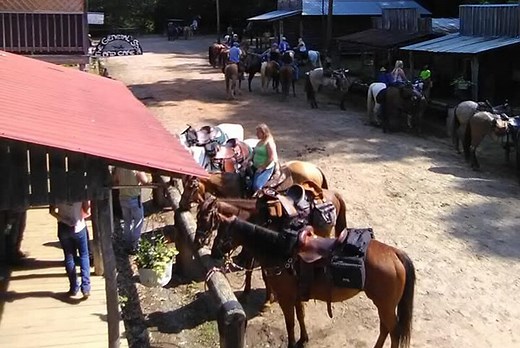 Love Valley: The North Carolina Cowboy Town Where No Cars Are Allowed