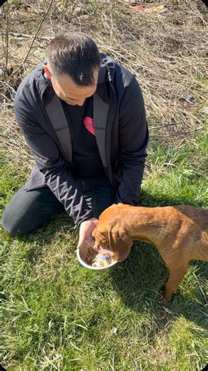 1.8K views · 232 reactions | Fütterung der Strassenhunde in Bosnien...