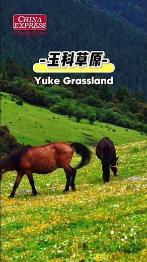8D Dagu Glacier & Lianbaoyeze | 8天达古冰川·莲宝叶则之旅