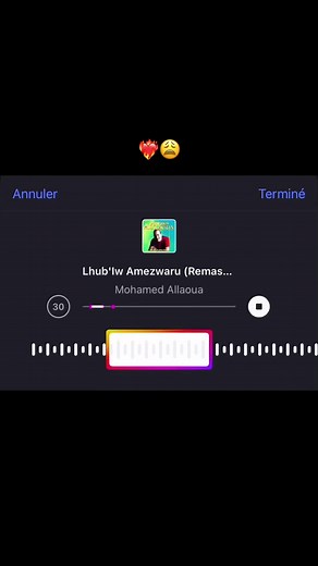 Kabyle Music: A Tribute to Love by Allaoua