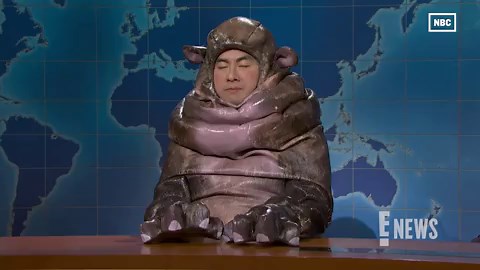 Moo Deng, Internet's Favorite Hippo, Drops Her First Single