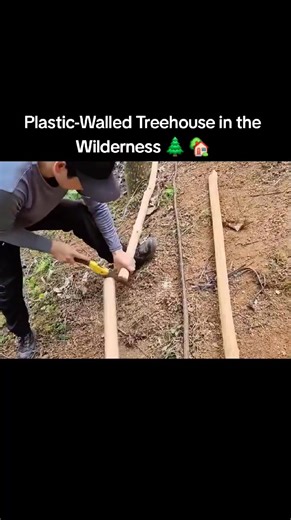 50K views · 1K reactions | Built a unique treehouse using plastic walls — simple, light, and resistant to the rain! ️ A peaceful escape surrounded by nature, where creativity meets survival. ✨  Follow for more wilderness builds and camping adventures! #wilbuild #camping #travel #hiking #nature | Wild Trail Life | Facebook