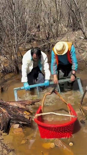 Unique Primitive Fishing Technique in Swampy River #fishing #fishingvideo #viralvideo #shortsfeed