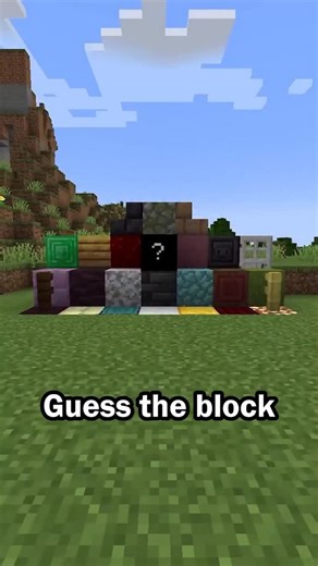 CheezyChez on Instagram: "Guess the Minecraft block in 60 seconds #minecraft #minecraftmemes #trivia"