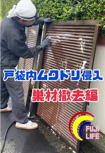 戸袋内のムクドリ問題と対策を解説