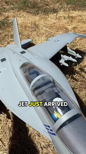 FMS FA 18 Super Hornet 70mm RC Jet Display