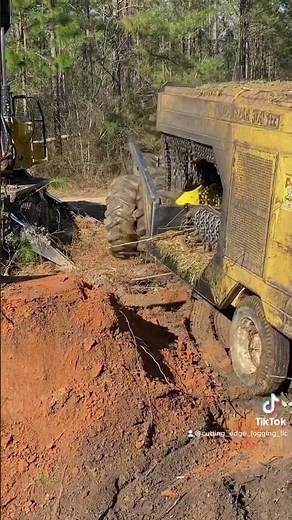 Smooth Skidder Operation #cuttingedgelogging #johndeere #delimbinator