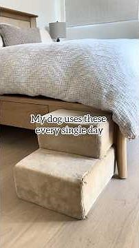 These Dog Stairs Saved My Couch (and My Dog’s Joints) 🐶