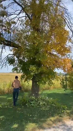 Battered & broken 😭💀 Fails of the week | FailArmy