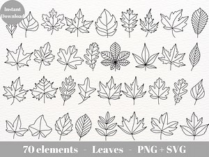 Leaf Svg Outline / Leaves Clipart / SVG Files for Cricut / Hand Drawn Leaf Print / PNG Bundle 300dpi / Free Commercial Use Clipart - Etsy
