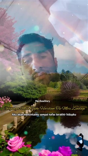 Dndndj Jejeje (@najeebafghan800)’s videos with original sound - Dndndj Jejeje