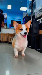 Let us build your dream PC with RTX5080 or RTX5090 now! | JDM Techno Computer Center