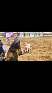 18K views · 201 reactions | Lassoing on foot Male Category Game 3 | Rodeo Masbateño 2025 | Nel Aban | Facebook